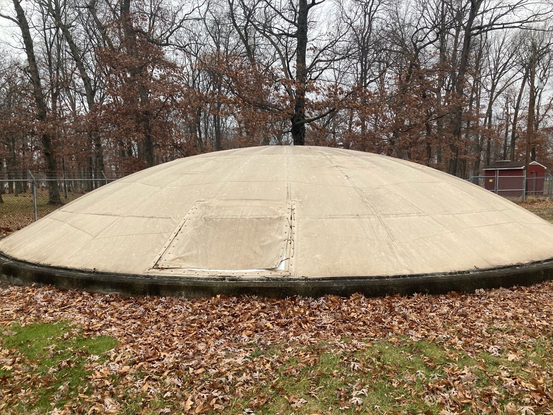 A large dome covered in leaves is sitting in the middle of a field.