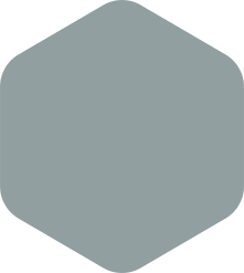 Rounded gray hexagon.