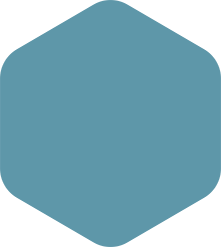 Light blue rounded hexagon.