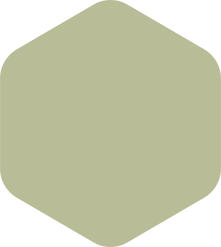 Light green rounded hexagon.