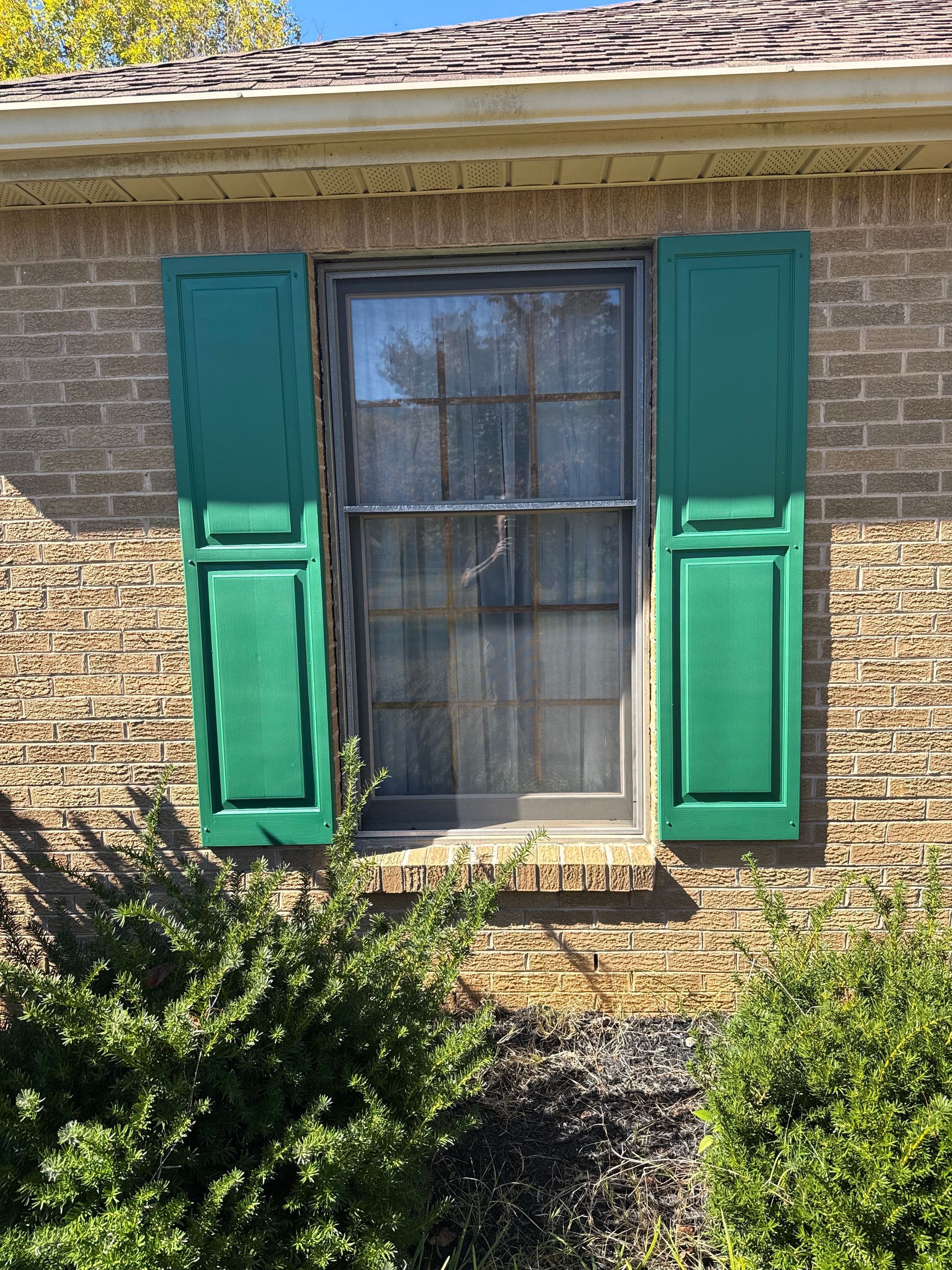 Window with green shutters on a brick building, with bushes in front.