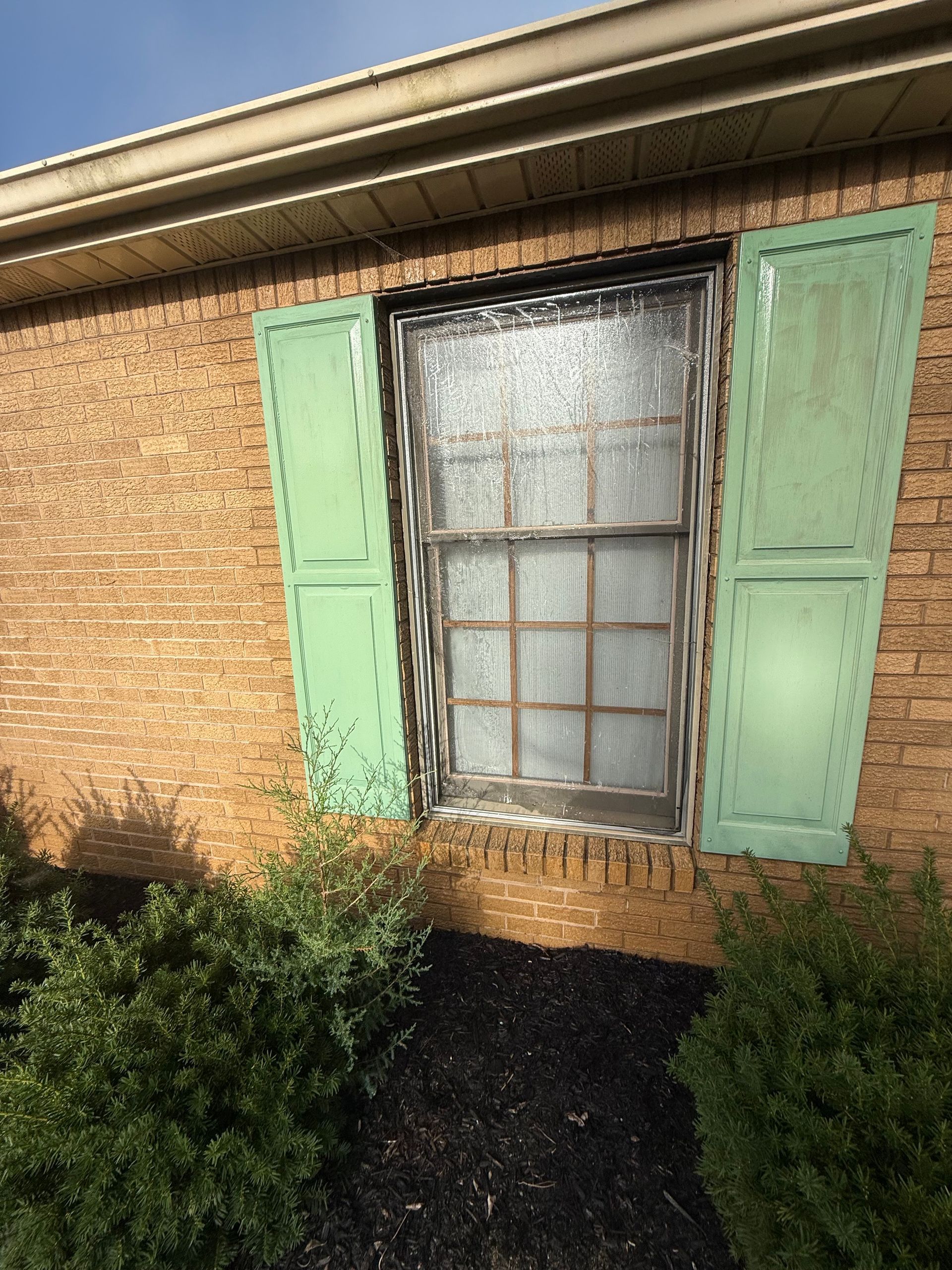 Window with light green shutters on a brick building with bushes.