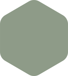 Rounded-corner green hexagon.