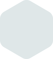 Light blue rounded hexagon.
