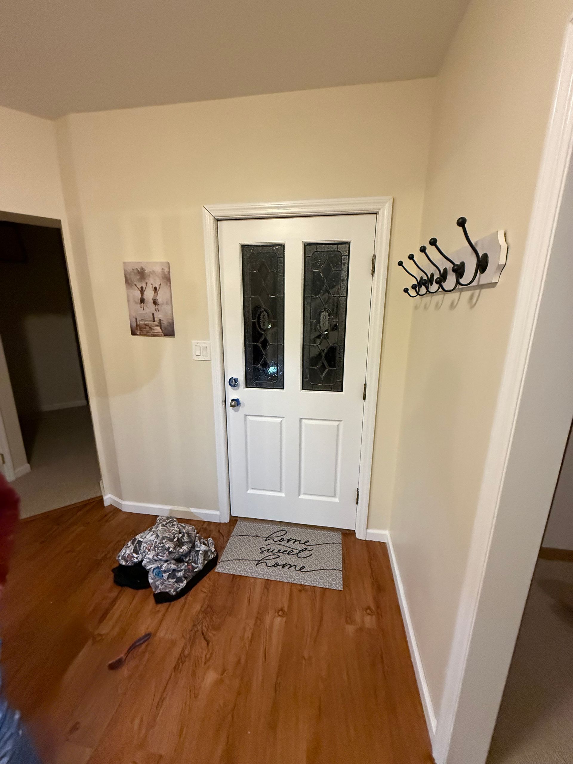 White door with glass panels in a home's entryway, featuring a welcome mat, coat rack, and wood flooring.