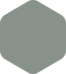 Gray rounded hexagon shape.