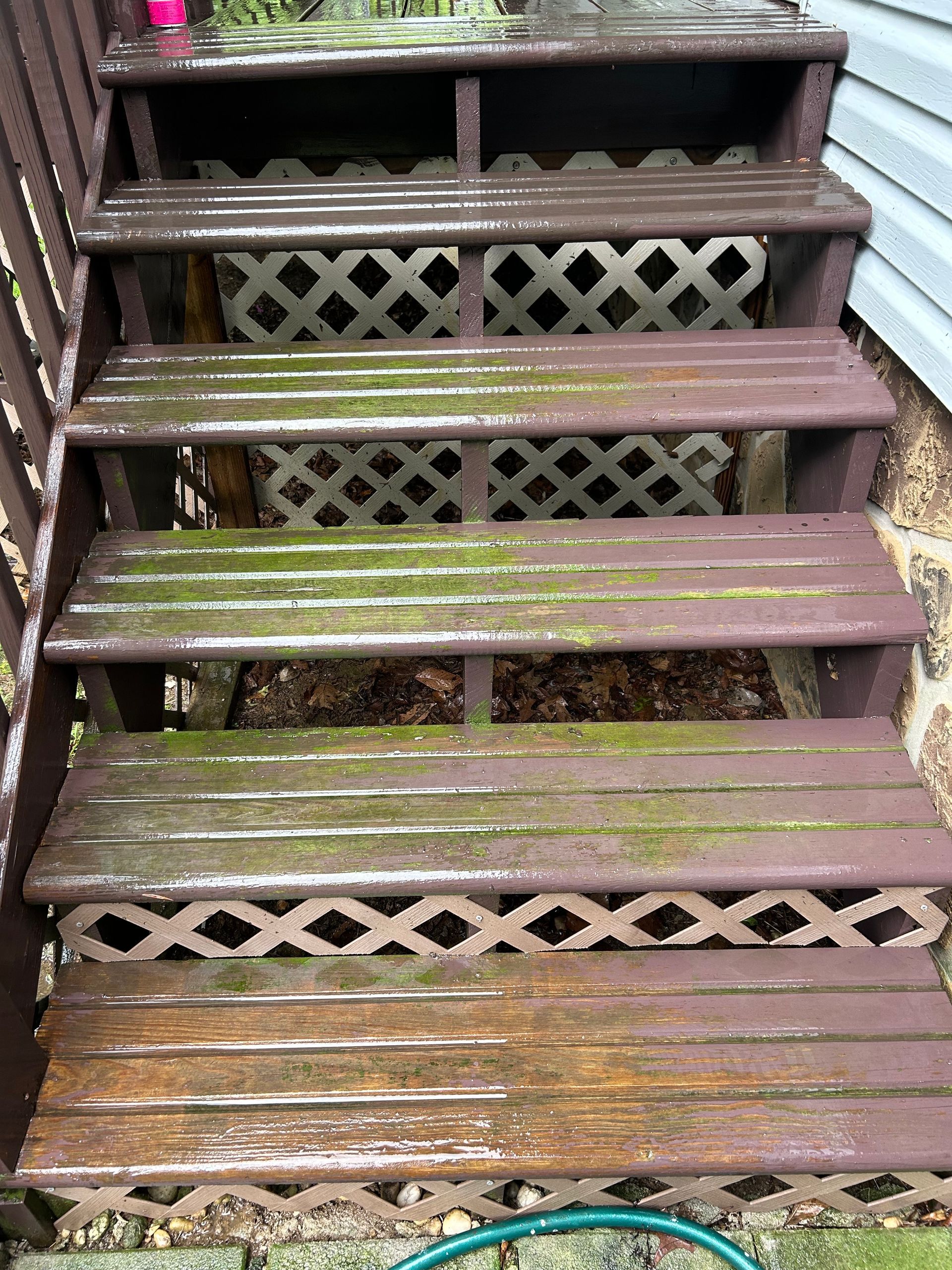 Wooden outdoor stairs with diamond lattice sides, wet and mossy.