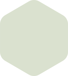 Light green rounded hexagon.