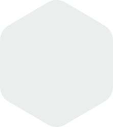 Light gray hexagon shape.