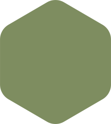Rounded olive-green hexagon shape.