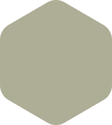 Rounded hexagon in muted sage green.