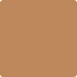 Rounded-corner square, filled with solid, medium-brown color.