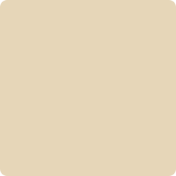 Rounded square filled with a light beige color.