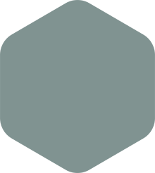 Rounded, muted green hexagon.