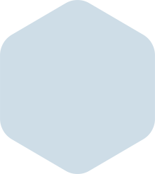 Light blue rounded hexagon.