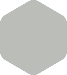 Rounded gray hexagon.