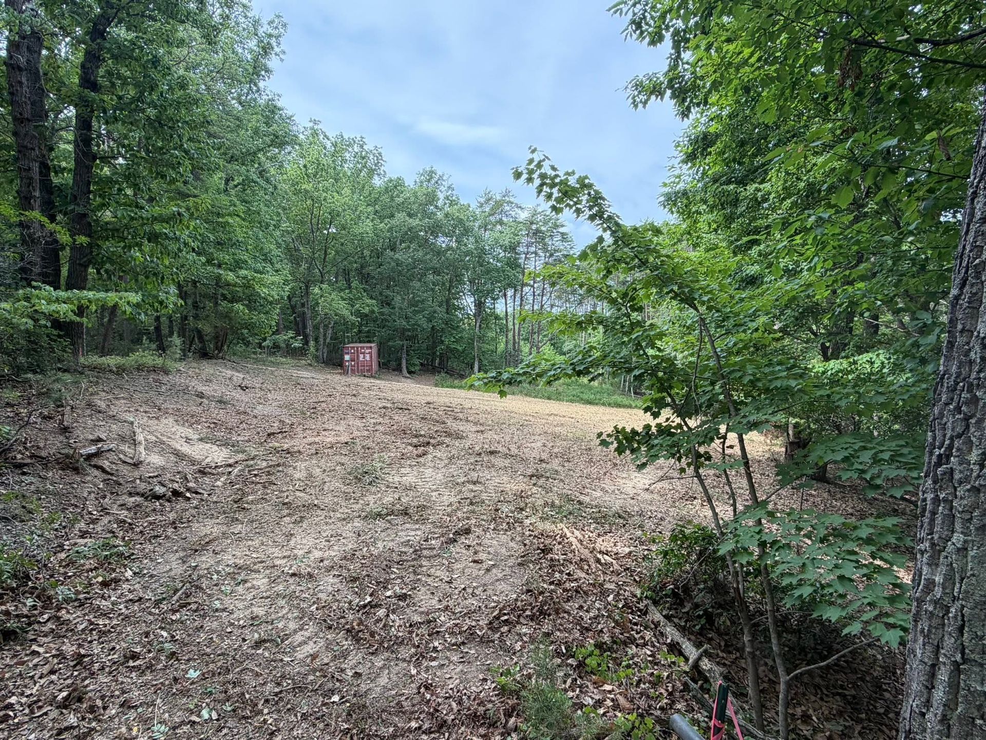 Wooded trail clearing with gravel path, surrounded by green trees under a cloudy sky