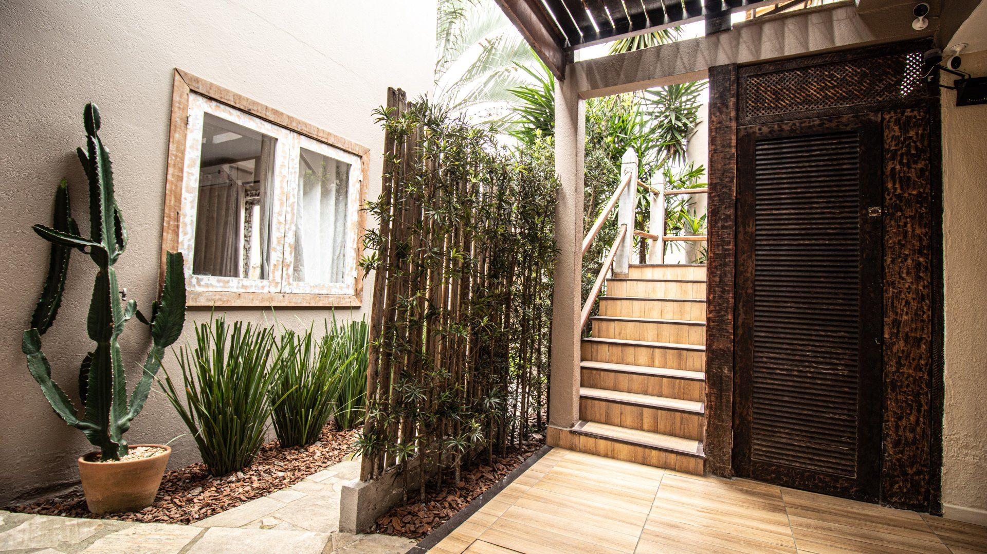 Exterior entrance with a wooden door, steps, and plants; a cactus in a pot is next to a window.
