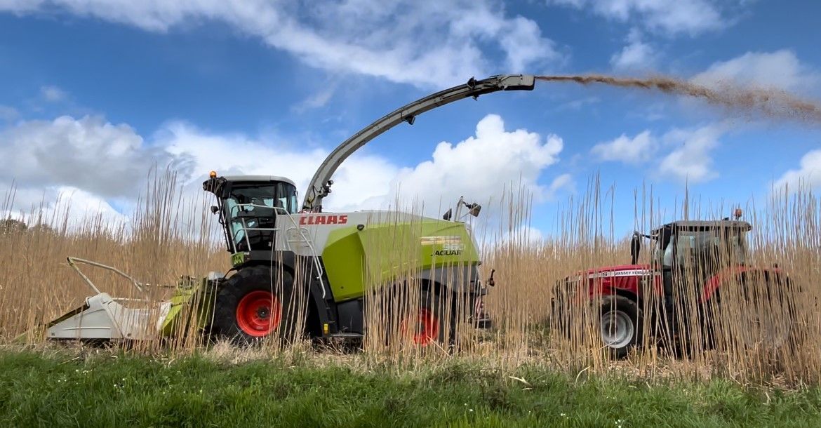 Un tracteur coupe des herbes hautes dans un champ.