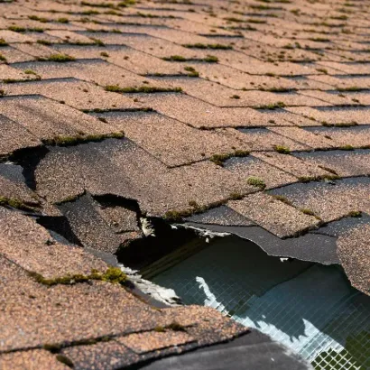 A tree has fallen on the roof of a house