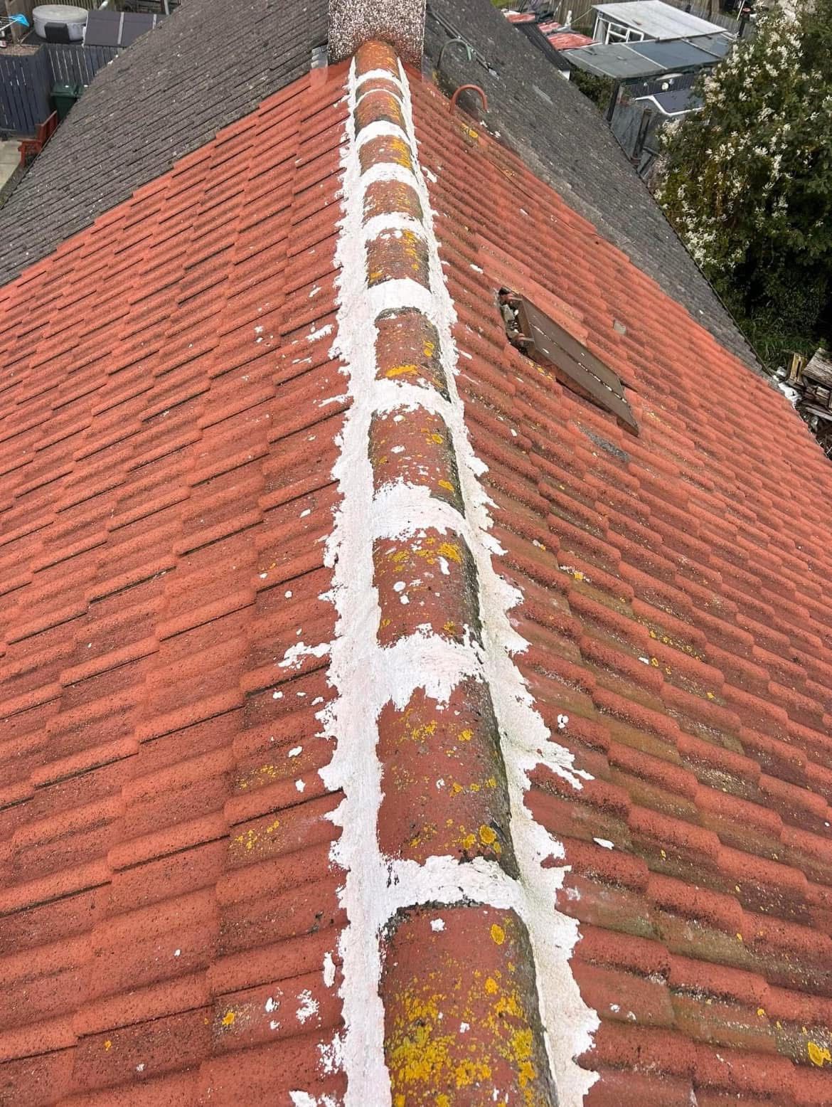 A roof with a row of tiles covered in white paint.
