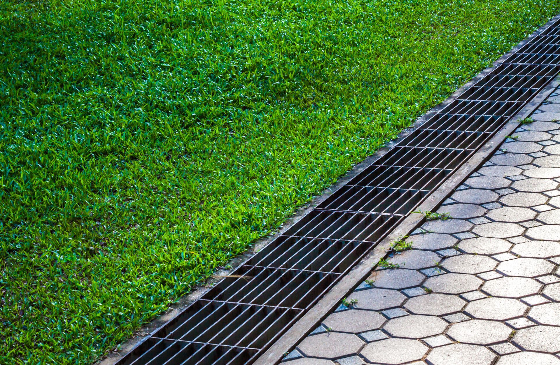 lush lawn near stone path