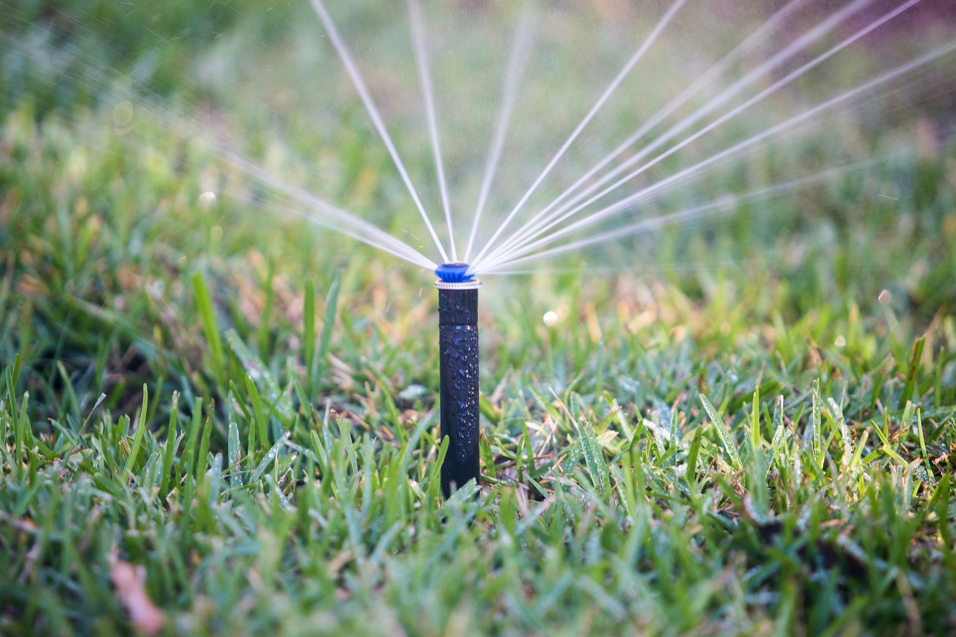 closeup of irrigation sprinkler