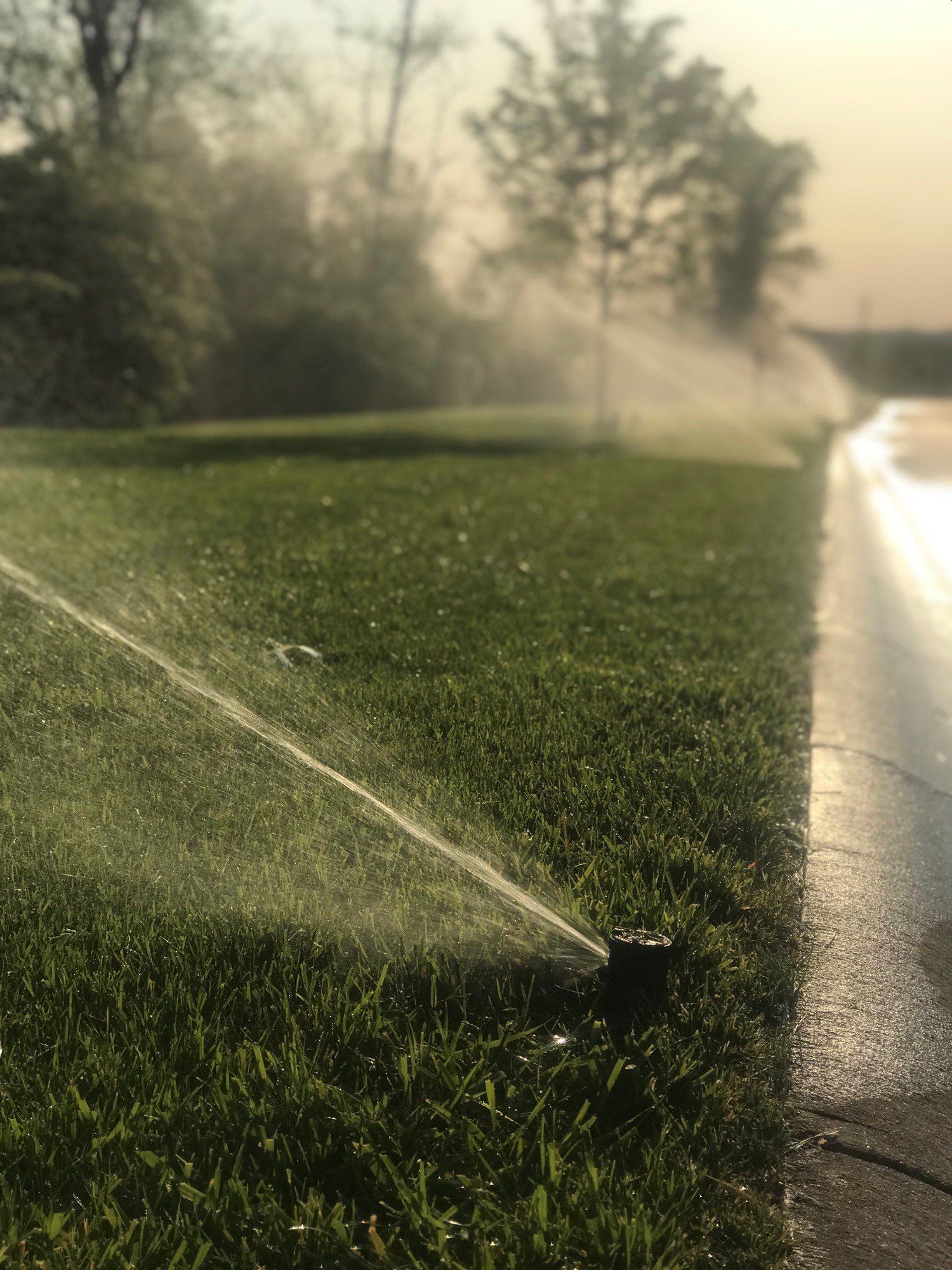 lawn sprinkler system
