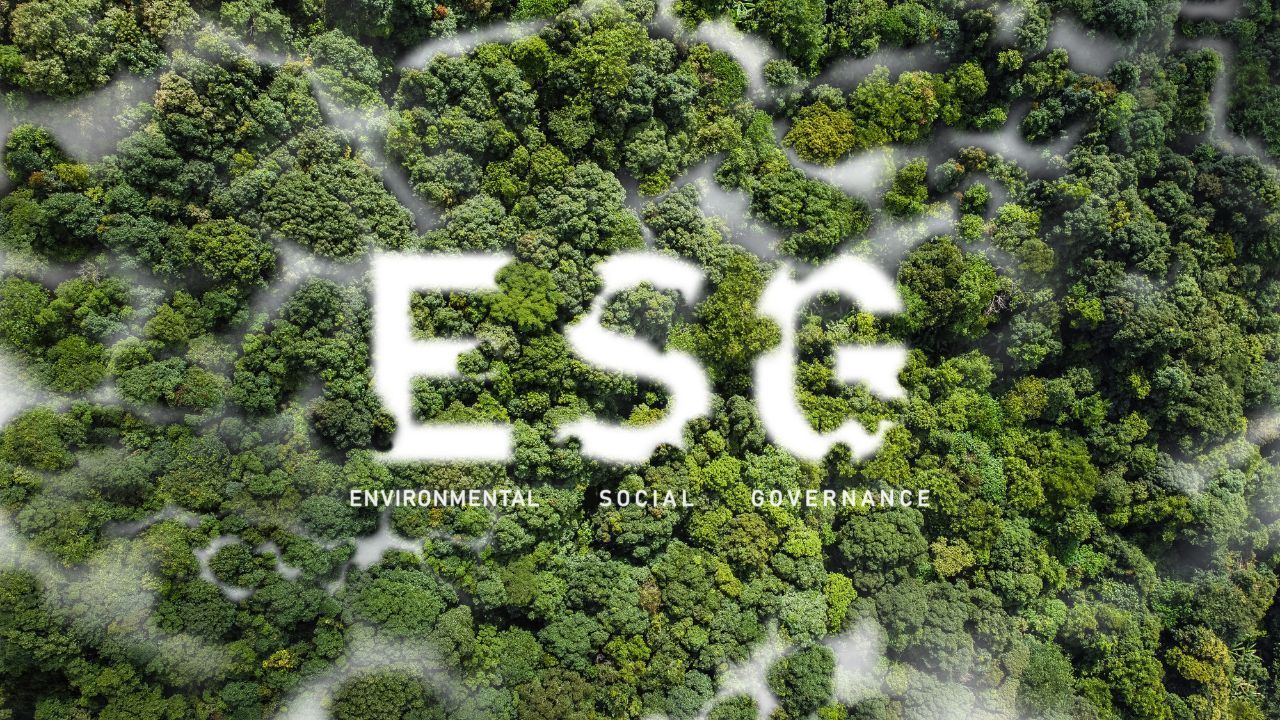 An aerial view of a forest with the word esg written on it.