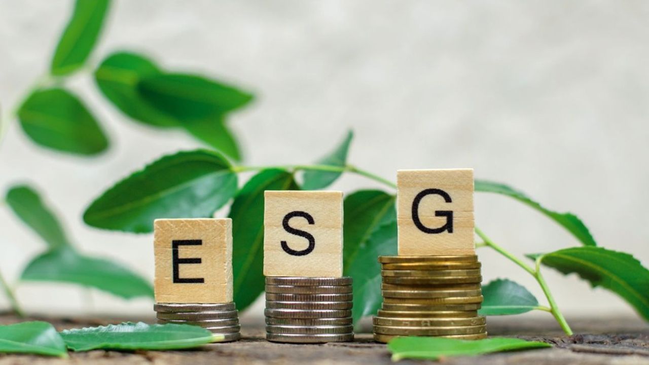 The word esg is written on wooden blocks next to stacks of coins.