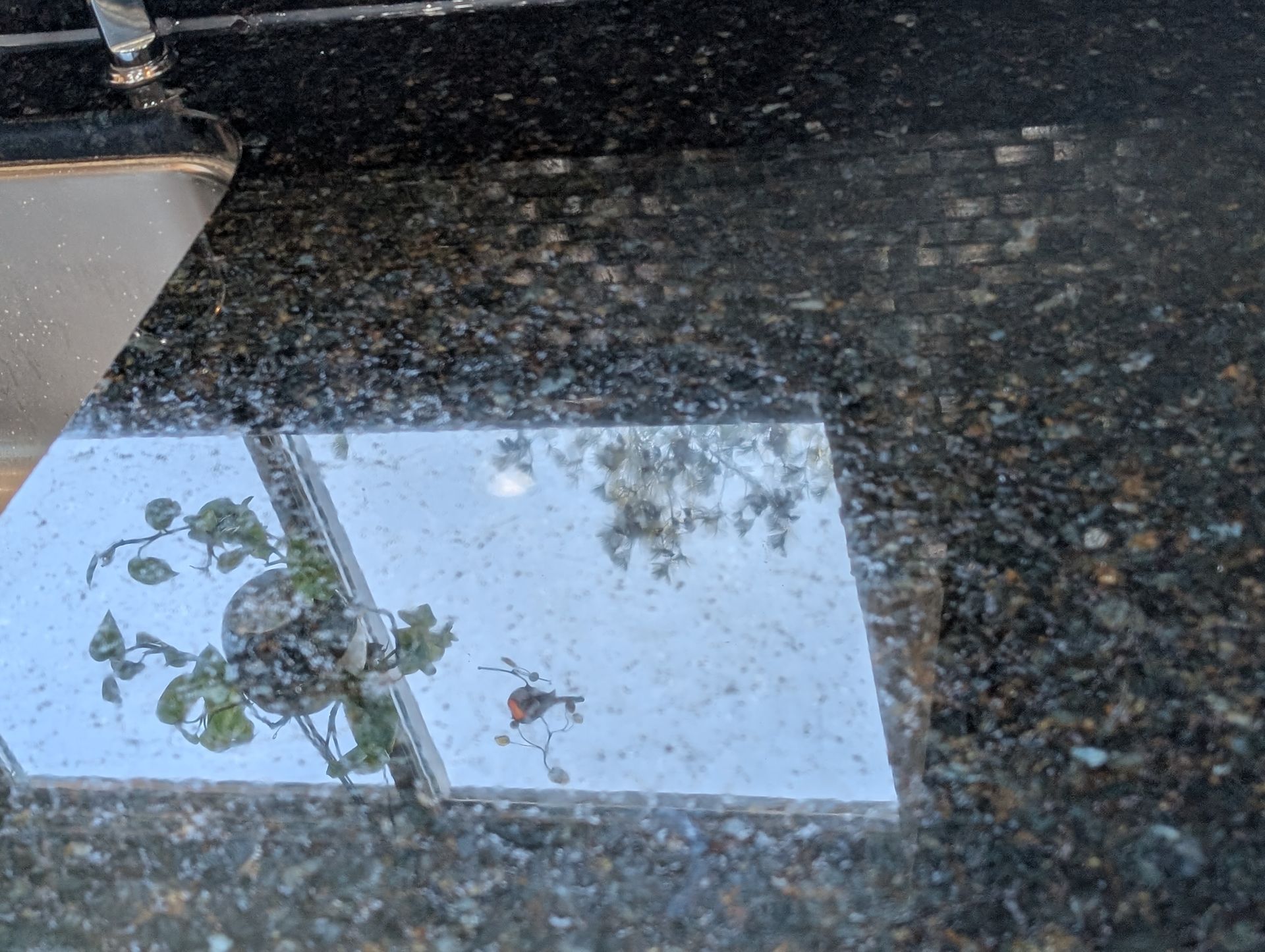 Polished terrazzo floor in a building, featuring speckled gray, white, and black aggregate.