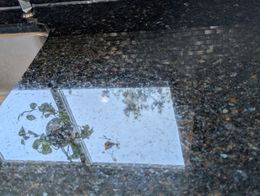 Polished terrazzo floor in a building, featuring speckled gray, white, and black aggregate.
