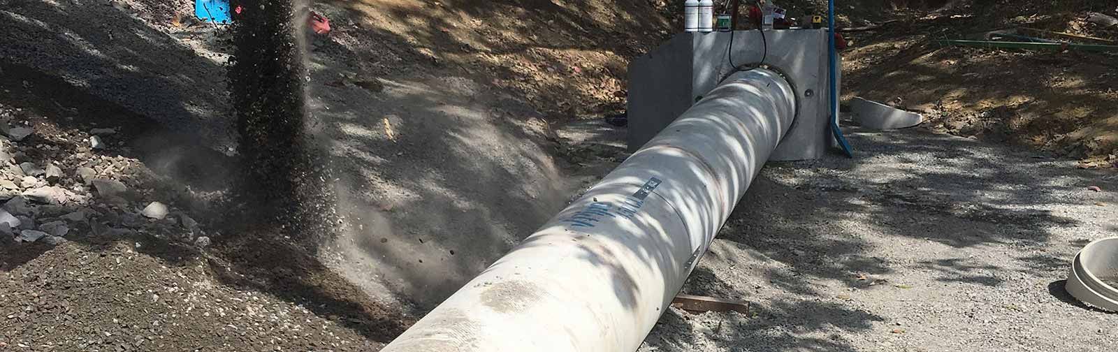 A large pipe is sitting in the dirt next to a tree.