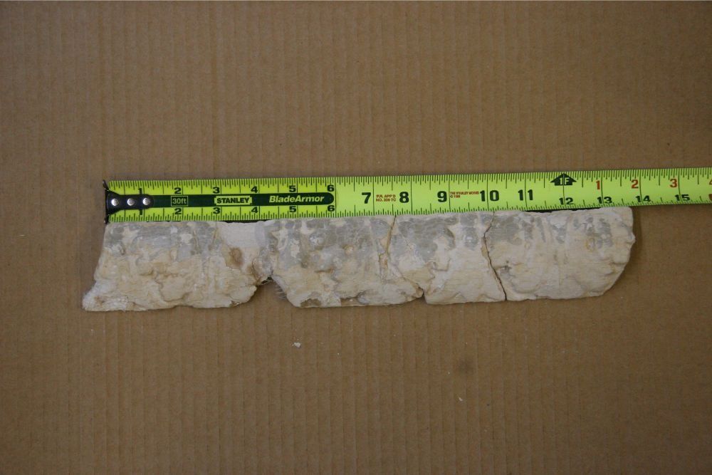 White textured bar on a brown surface, with a tape measure showing its length.