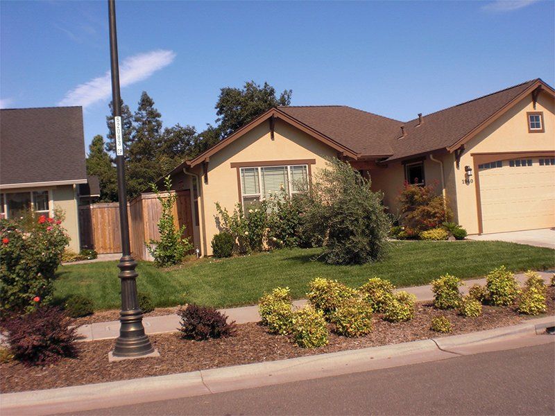 Bushes Infront Of House — Chico, CA — North Valley Raingutter