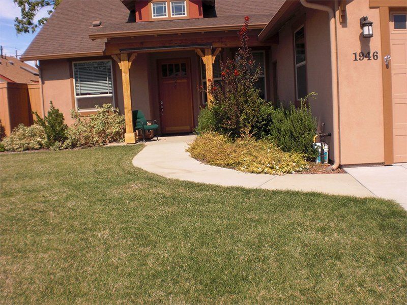 House Door — Chico, CA — North Valley Raingutter