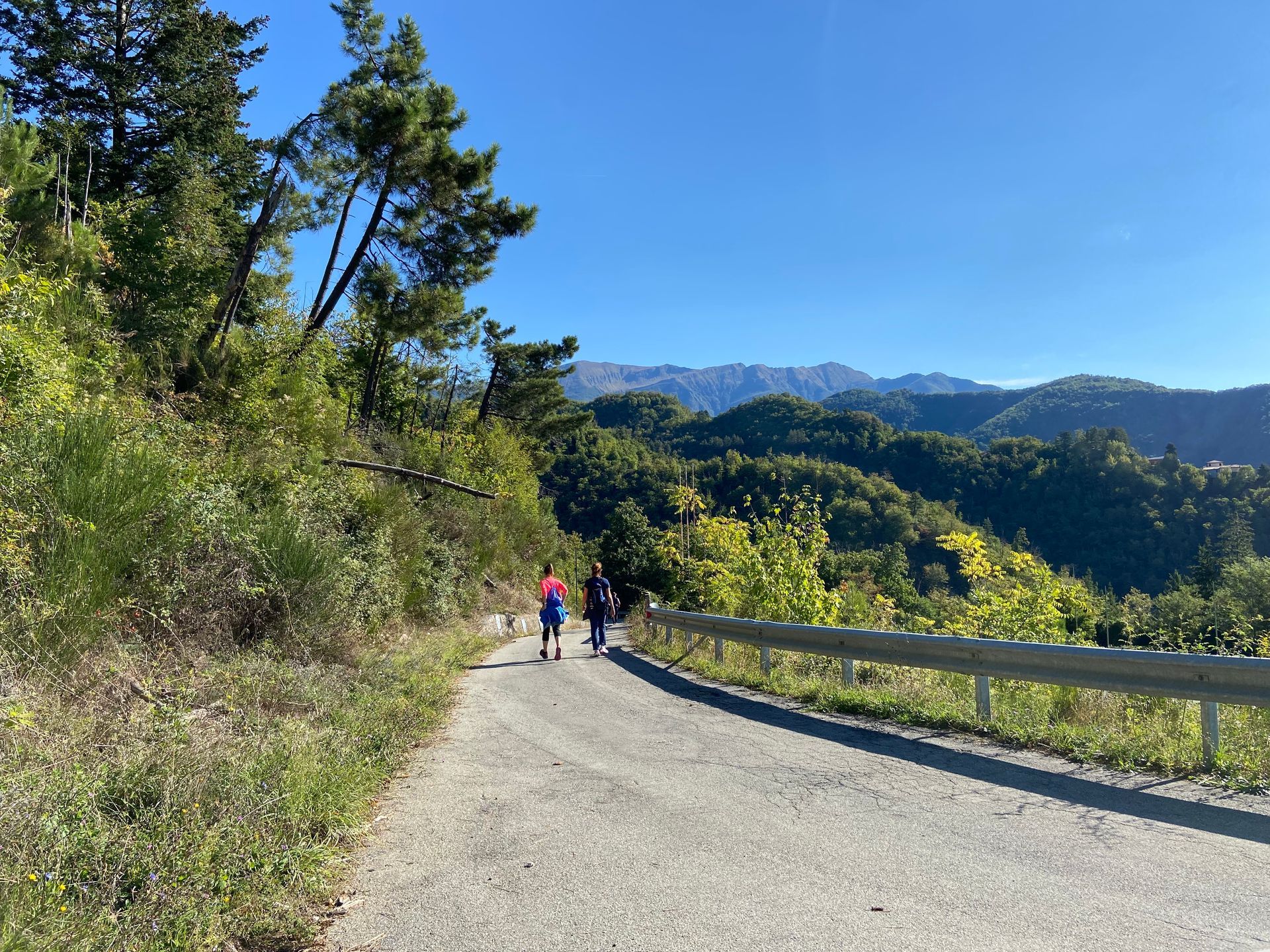 Attività nella natura 