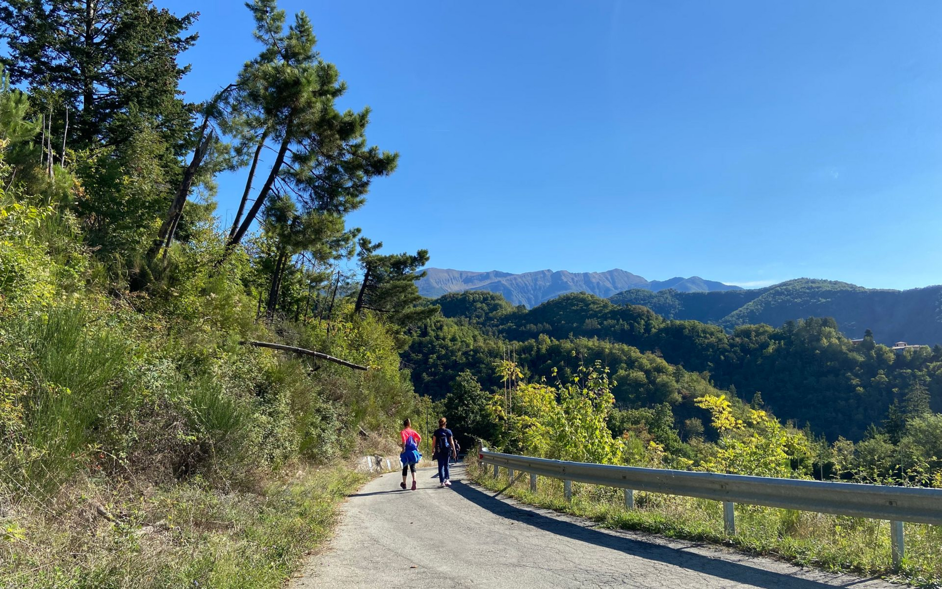 Team Building Orienteering a piedi nel bosco 