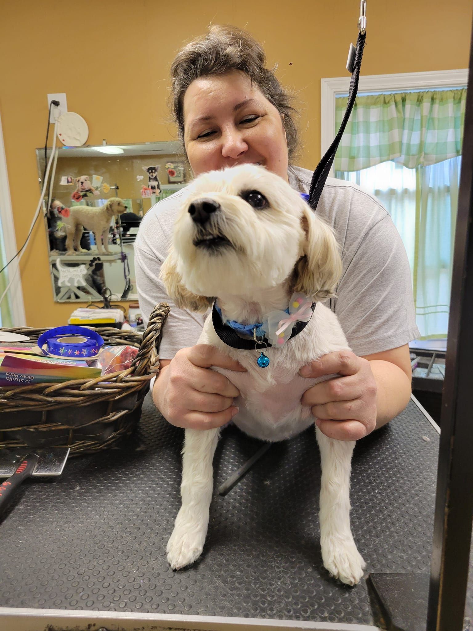 Woman holding a fluffy white dog on a grooming table. Dog has a blue collar and a smiling expression.