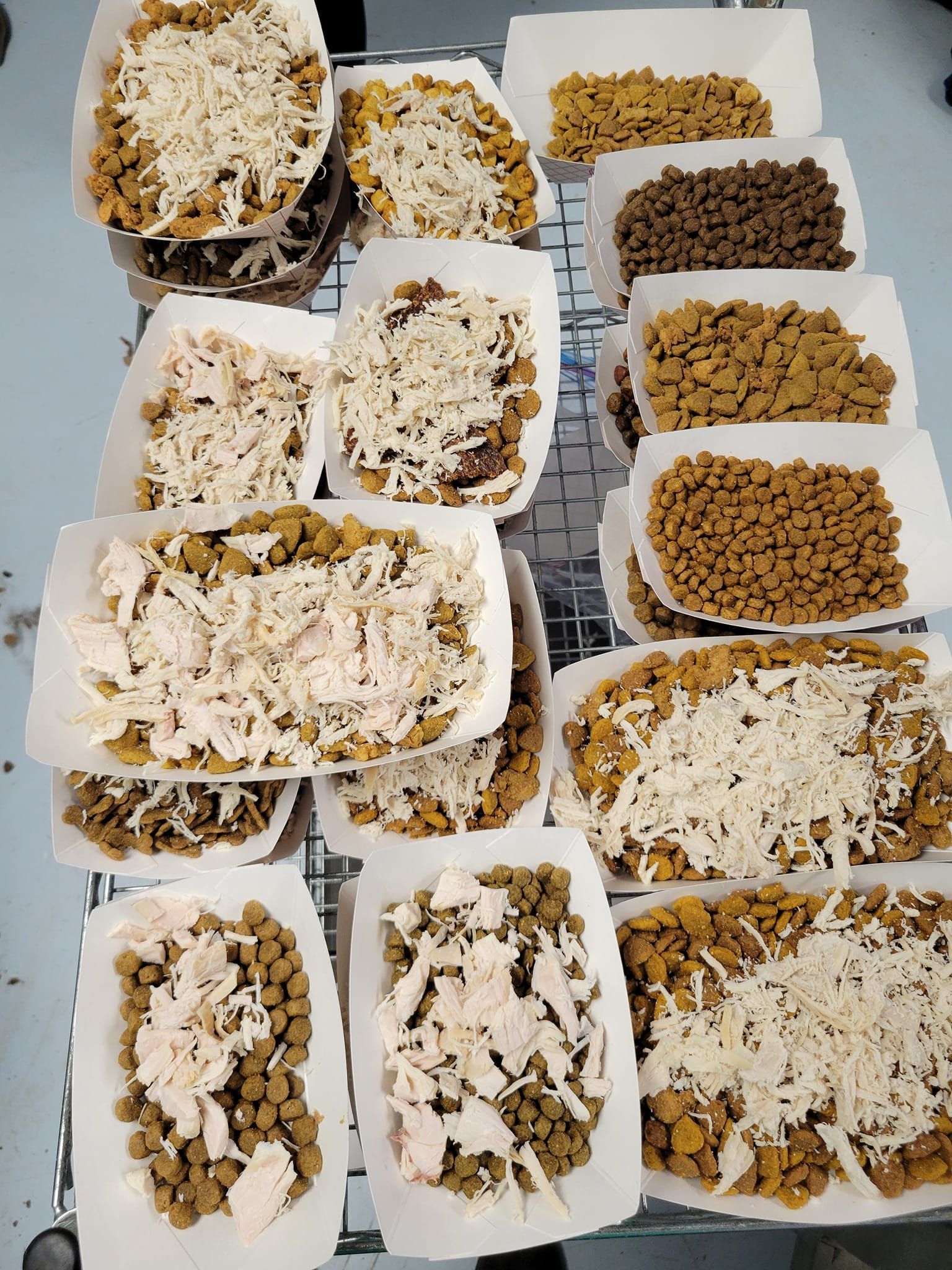 Various containers of pet food: kibble and topped with white shreds of food.