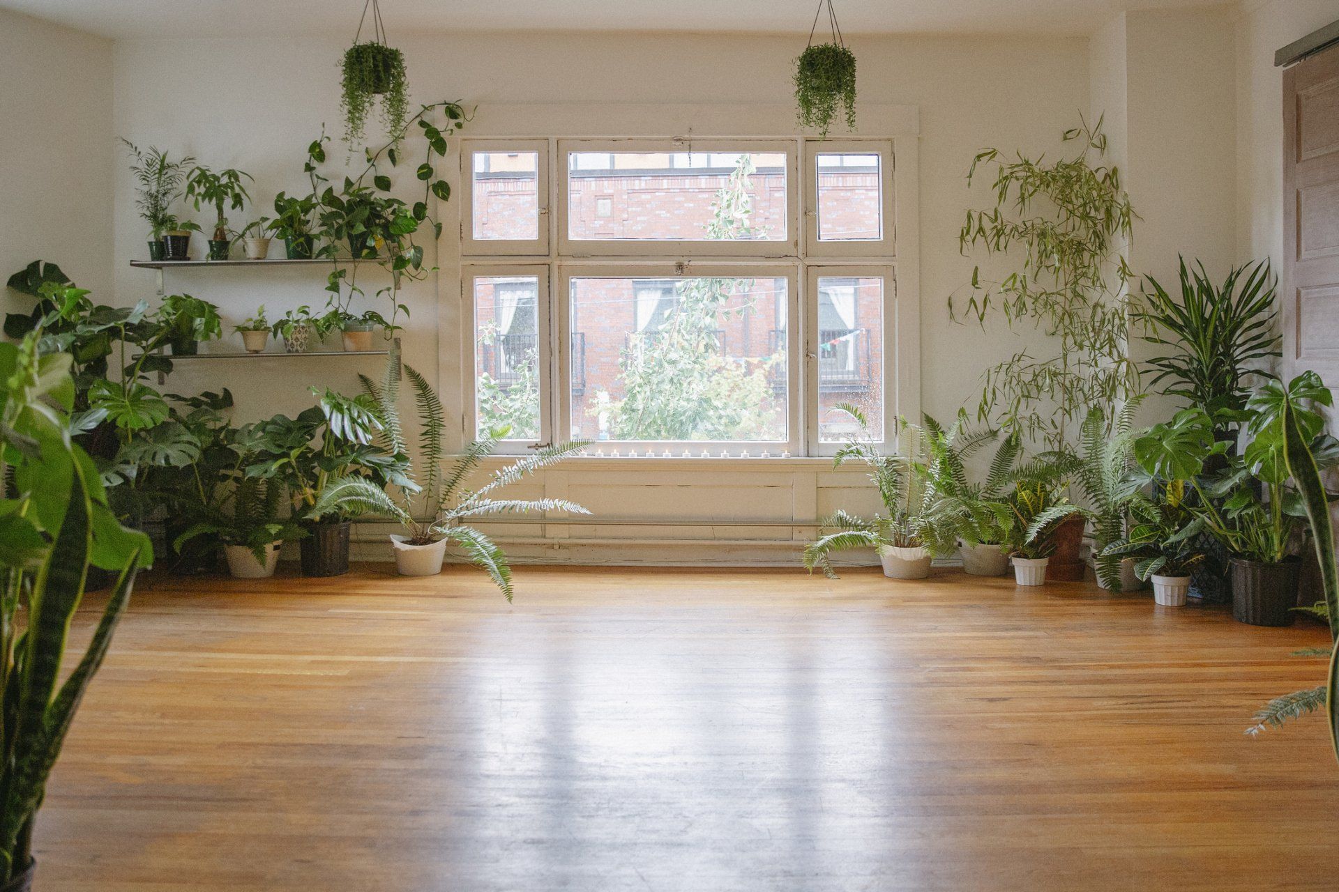 A room filled with lots of potted plants and a large window.