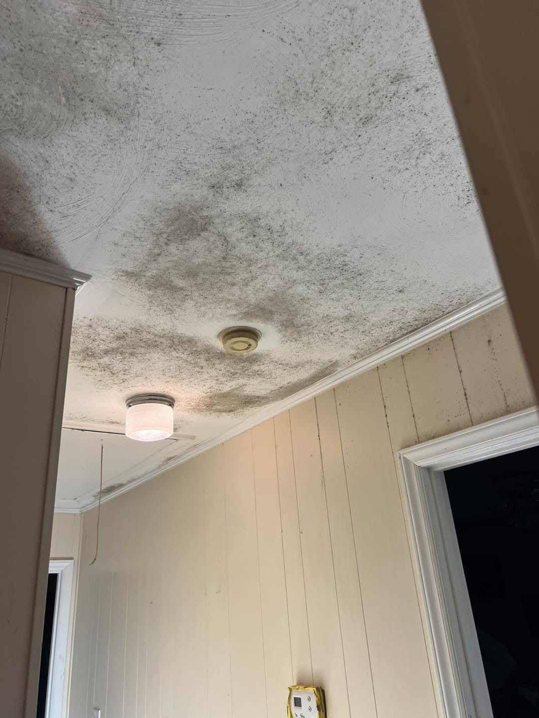 Moldy ceiling in a hallway, near a light fixture and trim. White walls and door frame.