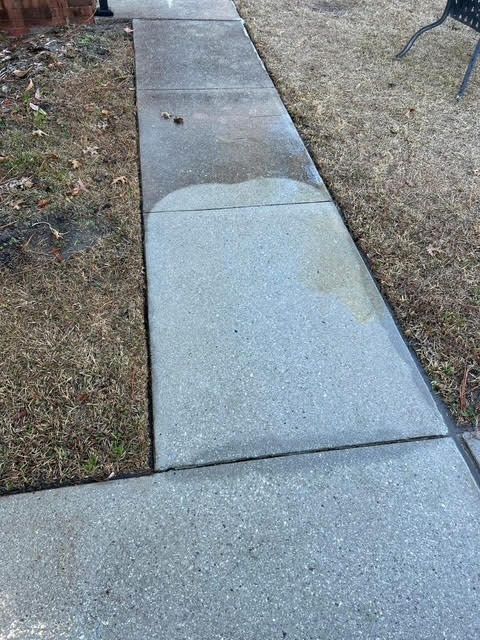 Concrete sidewalk section, partially cleaned, showing lighter patch from power washing. Grassy edges.