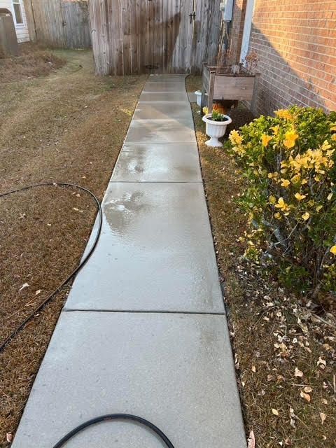 Concrete walkway, recently cleaned, between grass and a brick wall with a shrub and potted flowers.
