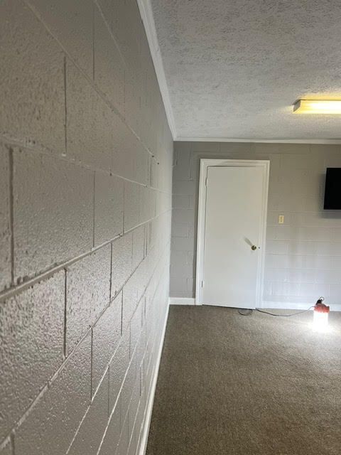 Gray painted cinder block wall in room with white door, carpet, and light.