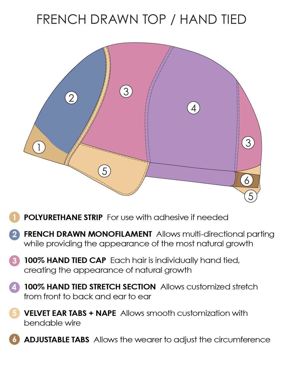 A diagram of a french drawn top / hand tied wig.