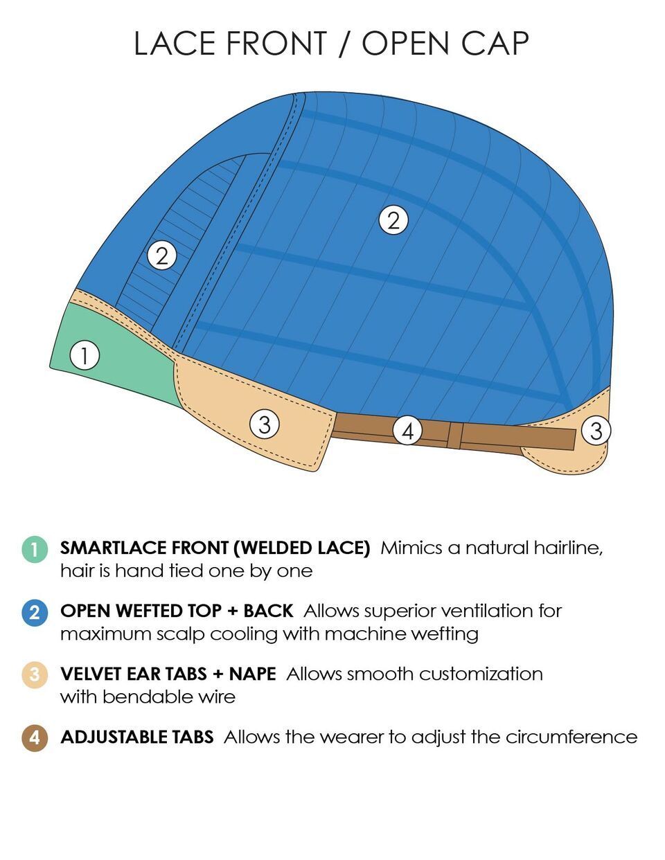 A diagram of a lace front / open cap wig.