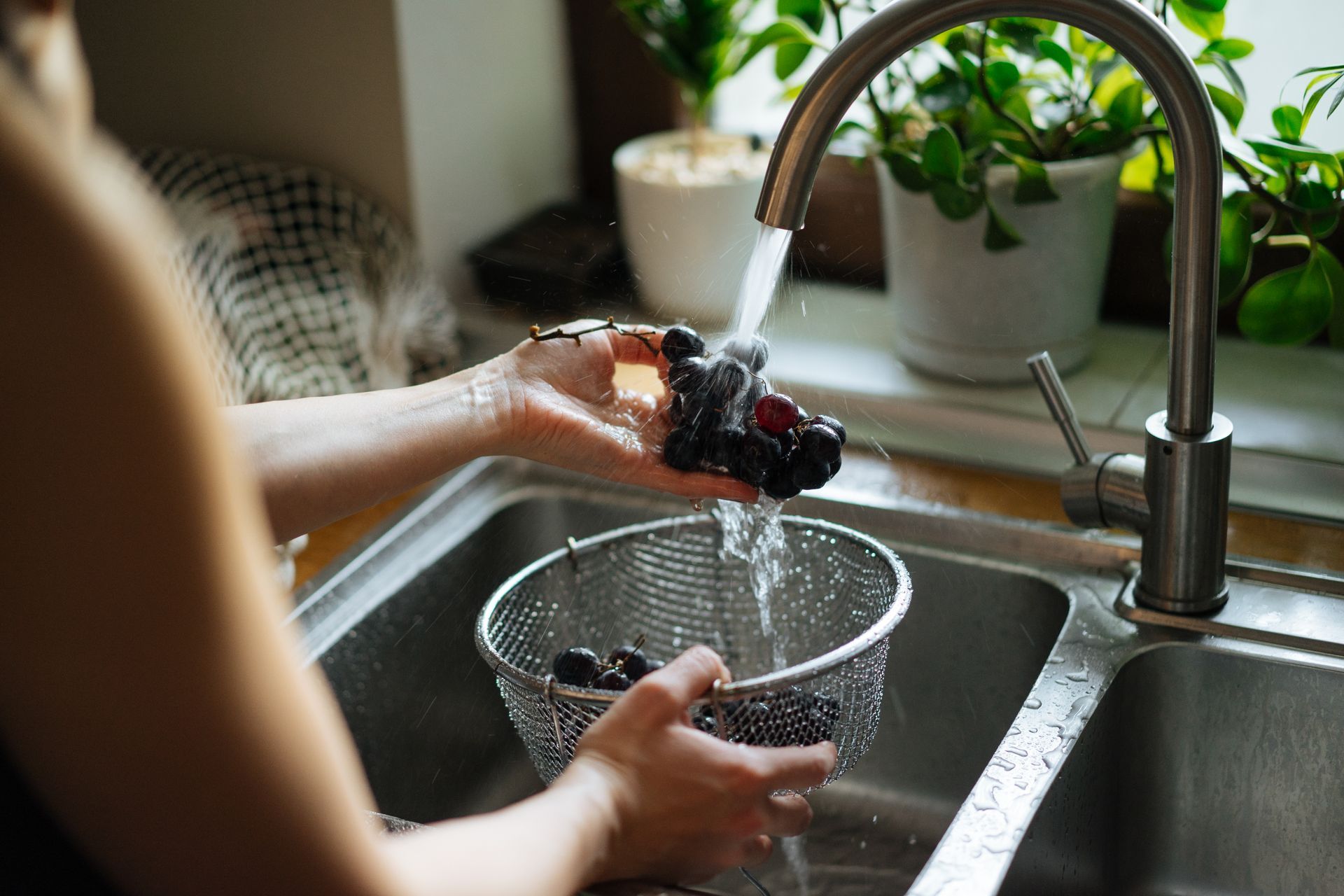 A person rinsing a bunch of dark purple grapes in a metal colander under a kitchen sink faucet.