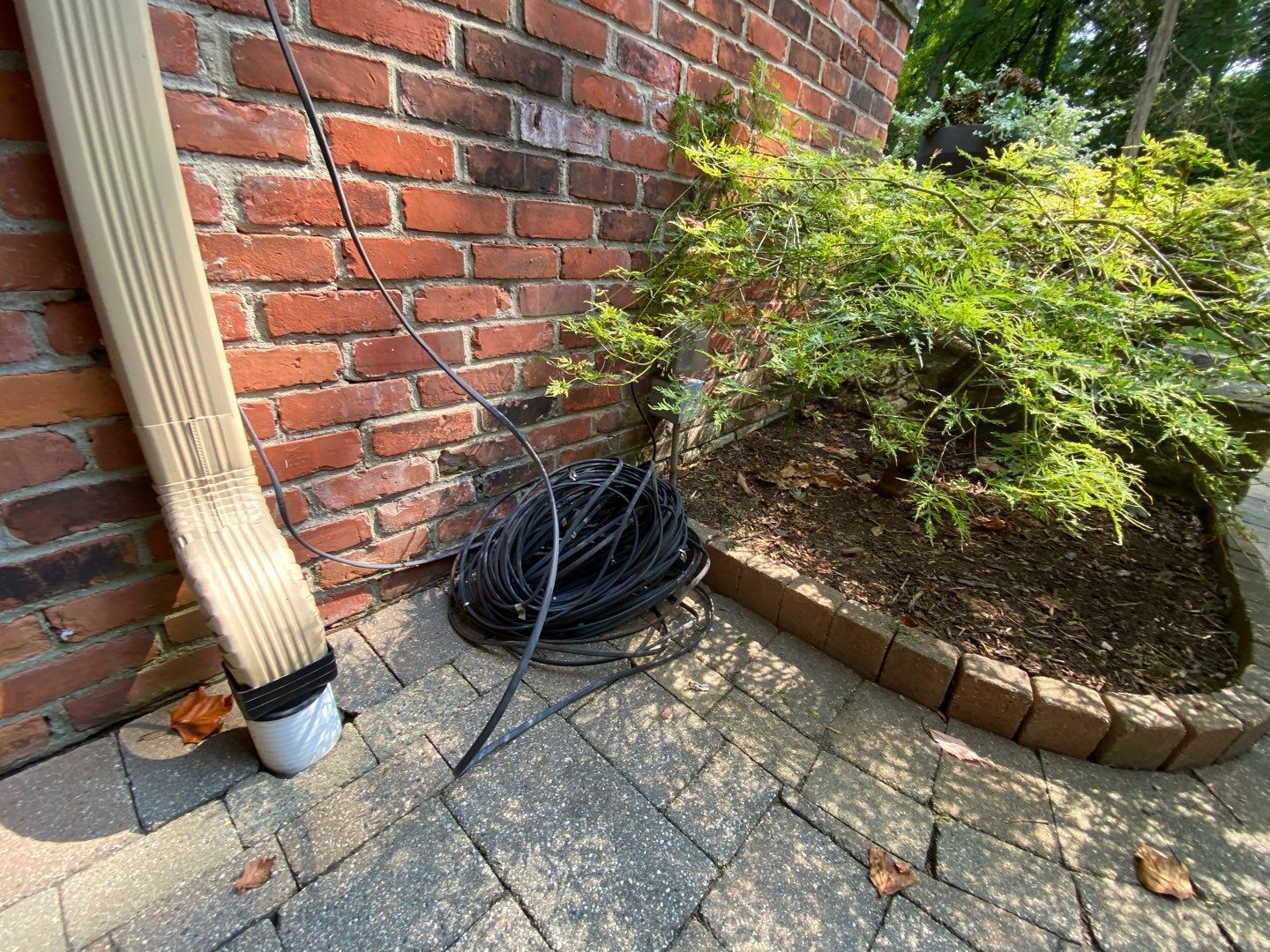 Coiled black hose by a brick wall beside a downspout and shrub on a stone patio.