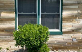 Brick house wall with two windows and a green shrub in front